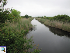 Kleiner Kanal am Atanassow-See