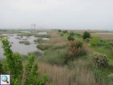 Blick auf die Wasserflächen des Poda-Naturschutzgebiets