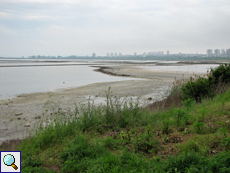 Schlammige Uferzone im Schutzgebiet 'Salinen von Burgas'