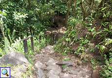 Eine Treppe führt am Sendero Las Coladas zu einem Bereich aus vulkanischem Gestein