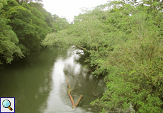 Der Río Sarapiquí auf dem Gelände der La Selva Biological Station