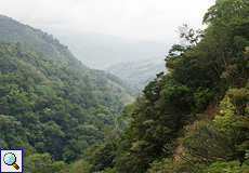 Bewaldete Schlucht bei Santa Elena