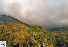 Wolken und Vegetation am späten Nachmittag im Arenal-Nationalpark