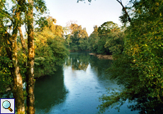 Der ruhig fließende Río Sarapiquí
