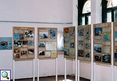 Der Ausstellungsraum des einstige Umweltzentrums