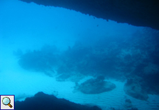 Unterwasseransicht am Blue Room, Curaçao
