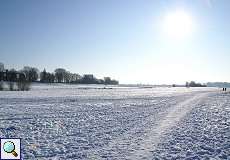 Rheinaue Hamm im Winter