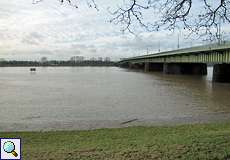 Rhein-Hochwasser im Januar 2011