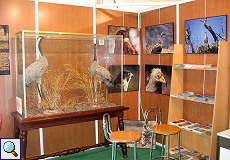 Feria International de Turismo Ornitológico 2006 (FIO)