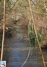 Kanal im Naturschutzgebiet