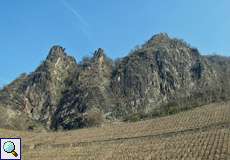 Südseite des Drachenfels mit Weinberg