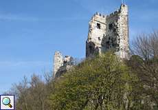 Ruine der Burg auf dem Drachenfels von Süden aus betrachtet