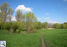 Die Flittarder Rheinaue mit erstem Frühlingsgrün