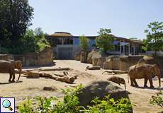 Teilbereich der Außenanlage des Elefantenparks