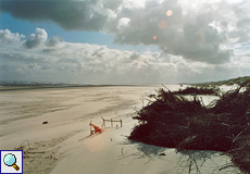 Strand auf Langeoog, Foto © Walter Gladischefski