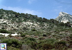 Aussicht auf La Dragonera, oben rechts ist der Leuchtturm von Na Popi zu sehen