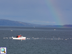 Der Varanger-Fjord mit Regenbogen