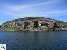 Die Insel Hornøya im nordöstlichen Norwegen ist ein wichtiges Seevogel-Brutgebiet