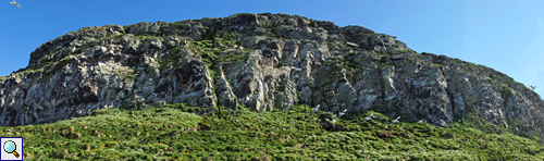 Panoramablick auf die steile Felswand von Hornøya