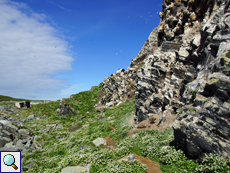 Landschaft am Fuße der Steilwand, in der unzählige Seevögel brüten