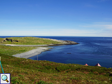 Blick auf den östlichen Teil von Hornøya