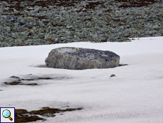 Größerer Steinbrocken im Schnee in der Tundra