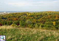 Prächtige Herbstfarben: das waldige Naturschutzgebiet Tippelsberg/Berger Mühle liegt nördlich des Tippelsbergs