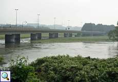Die Konrad-Adenauer-Brücke bei Hochwasser
