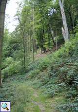 Schmaler Wanderweg im Naturschutzgebiet Oefter Tal