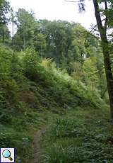 Grüner Hang im Naturschutzgebiet Oefter Tal
