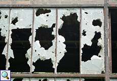 Zerbrochene Fenster auf dem Gelände der Kokerei Zollverein in Essen