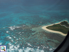 Korallenriff im Südwesten vor Bird Island