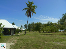 Blick auf die Bungalows der Bird Island Lodge