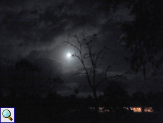 Nachts im Mondschein auf Bird Island