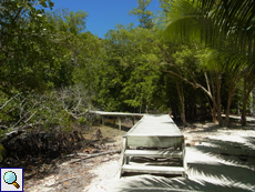 Dank der Holzstege kann man den Mangrovensumpf sogar bei hohem Wasserstand durchwandern