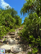 Der Wanderweg zur Anse St. Jose führt über einen Hügelkamm