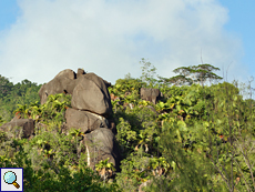 Granitfelsen und viel Wald - so sieht es im Hinterland von Praslin aus