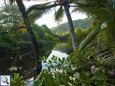 Fluss in Grand Anse