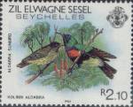 Malegassennektarvogel (Aldabra Sunbird, Nectarinia souimanga)
