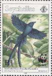 Männlicher Seychellenparadiesschnäpper (Seychelles Black Paradise Flycatcher, Terpsiphone corvina)
