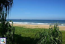 Strand an der Bentota-Halbinsel