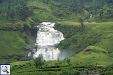 Saint Clair's Falls bei Talawakele